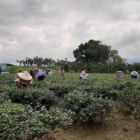 Dong Li Tea Homestay รุ่ยซุ่ย ภายนอก รูปภาพ