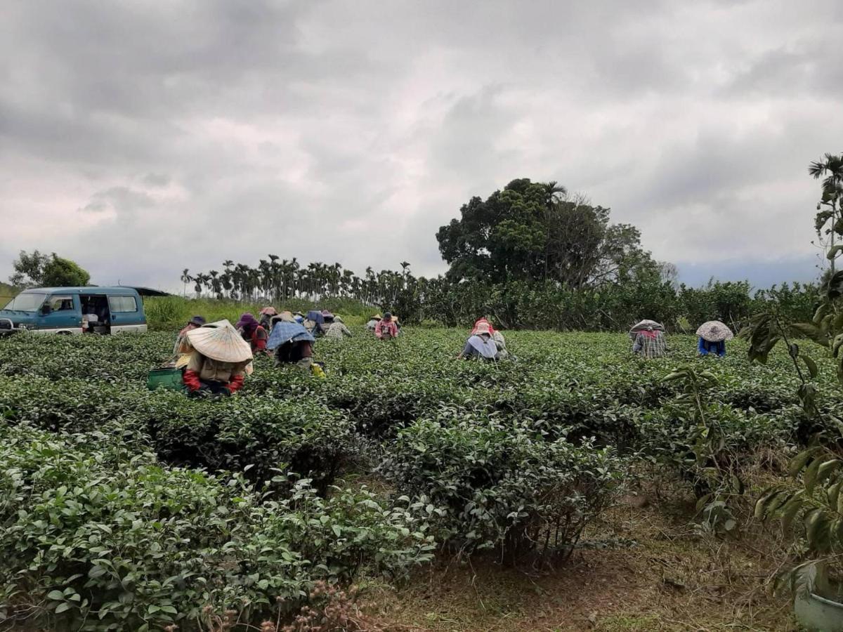 Dong Li Tea Homestay รุ่ยซุ่ย ภายนอก รูปภาพ